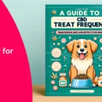 CBD Treat Frequency for Dogs