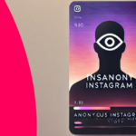 Insanony Instagram: Anonymous Instagram Story Viewer