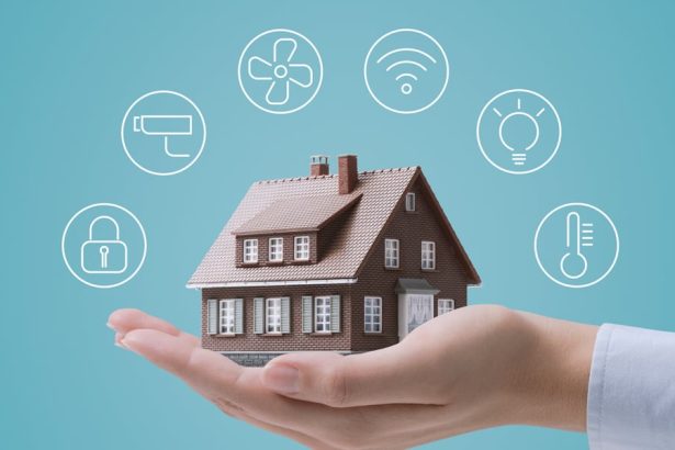 Smart Home Care and Adventure Tips